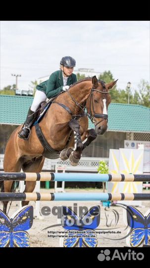 Вещи для конного спорта бу седло,уздечка,бриджи,пр