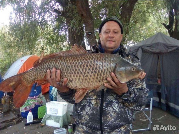 Рыбалка и отдых