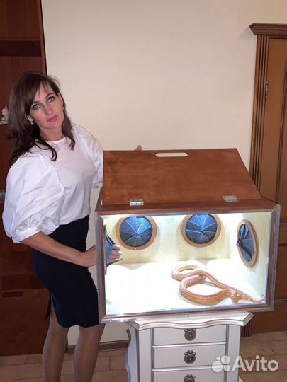 Игра угадай что в коробке, коробка фанбокс