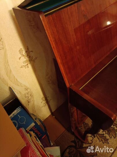 Фортепиано Сюита 110 модель с модератором