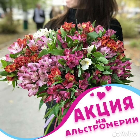 Букеты из альстромерии. Цветы альстромерия Самара