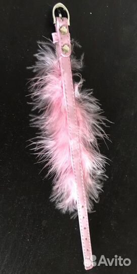 Ошейник для собак