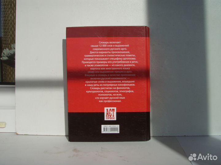 Толковый словарь русского сленга