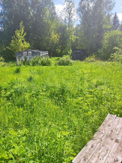 Участок 12 сот. (СНТ, ДНП)