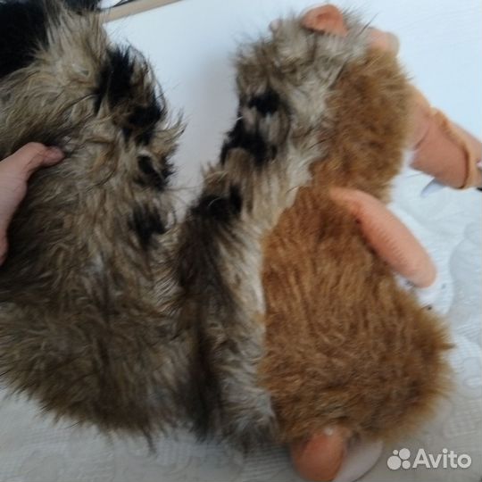 Белка из юрского периода