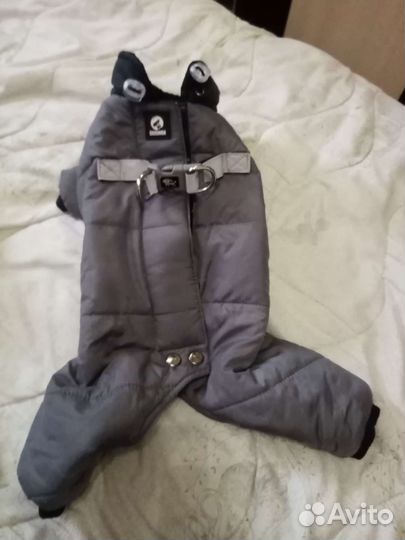 Костюм для маленьких собачек