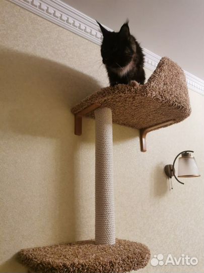 Когтеточка с креплением к стене 
