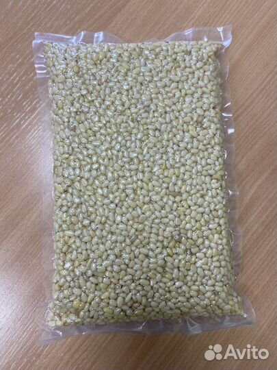 Кедровый орех очищенный вакум опт