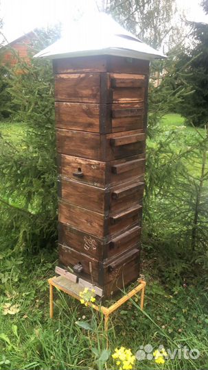 Улей с пчелами