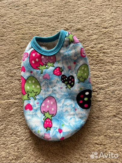 Одежда для маленьких собак