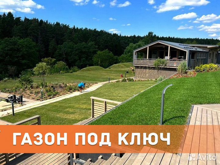 Рулонный газон с укладкой и гарантией