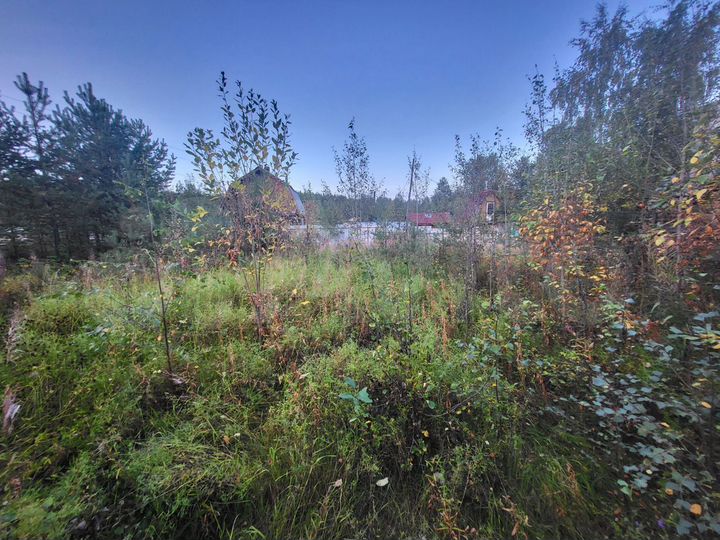 Дача 50 м² на участке 5 сот.