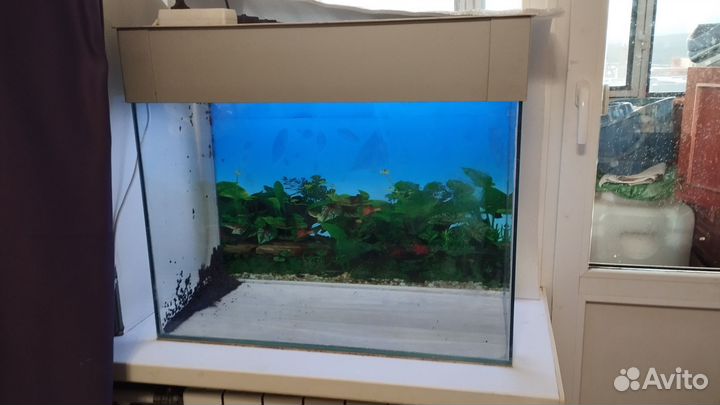 Аквариум