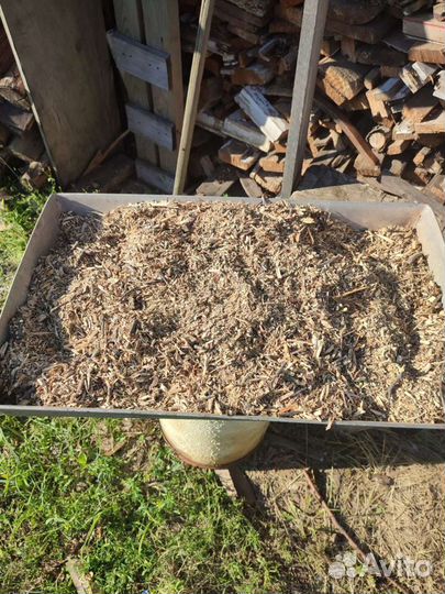 Щепа для копчения. Груша,яблоня,вишня