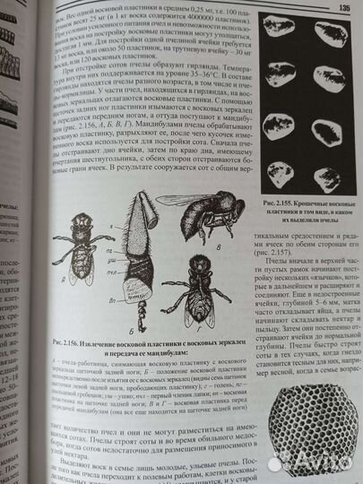 Книга по пчеловодству Риб Р. Д