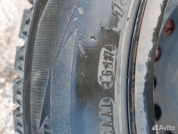 Nexen Winguard WinSpike 185/65 R15 92