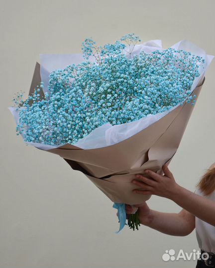 Гипсофила голубая цветы букеты доставка