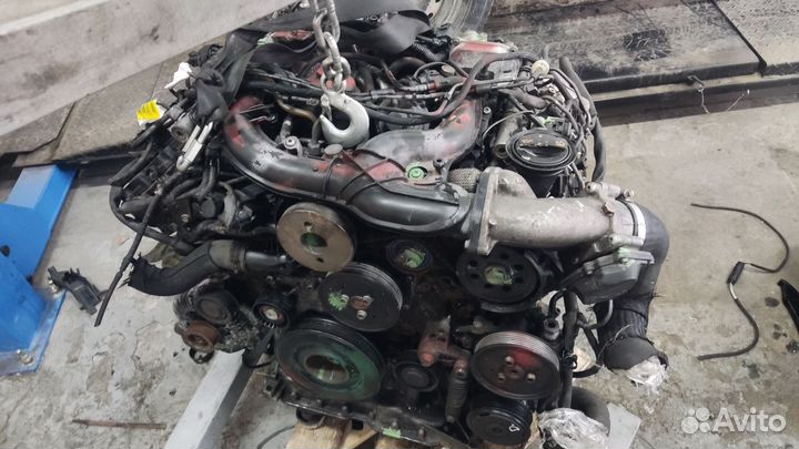 Двигатель Volkswagen Touareg BKS