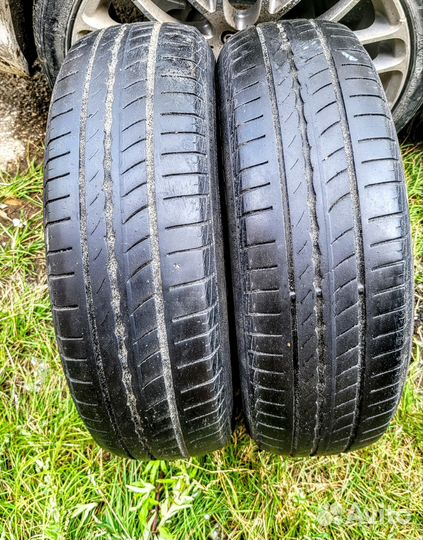 Pirelli Cinturato P1 175/70 R14