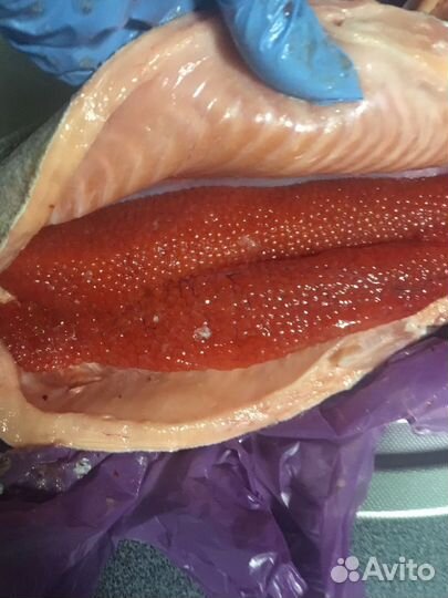 Форель и икра из Карелии свежайшая