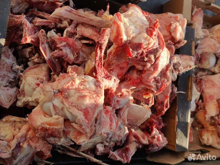 Мясо для собак