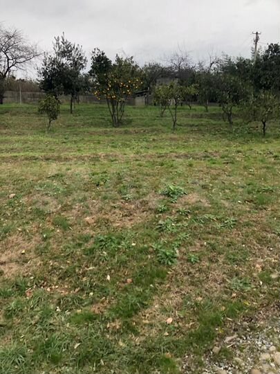 Участок 12 сот. (ИЖС)