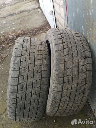 Dunlop Graspic DS3 195/55 R15