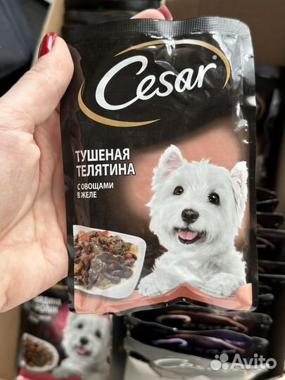 Корм для собак