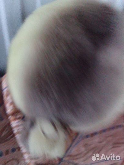 Шапка зимняя меховая женская норка