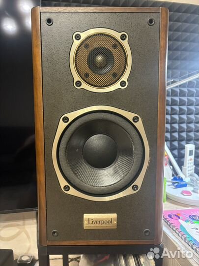 Акустические колонки Onkyo Liverpool d500