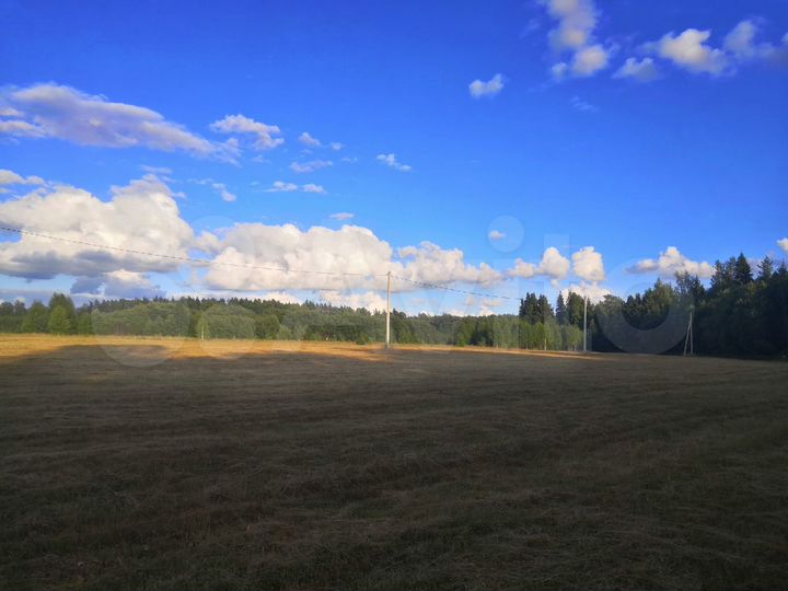 Участок 14 сот. (ИЖС)