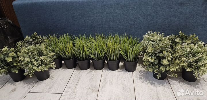 IKEA Фейка, растения из IKEA