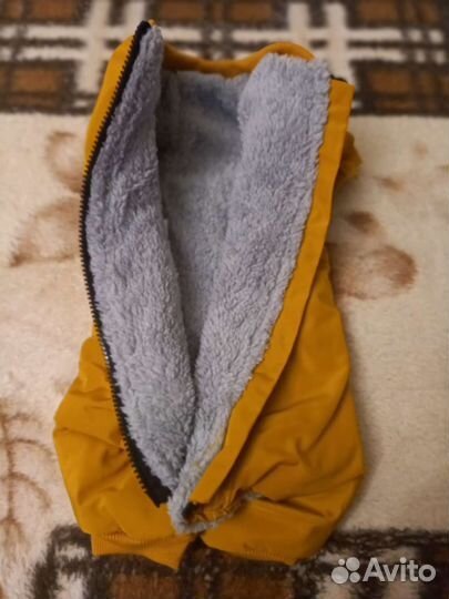 Одежда для собак мелких пород