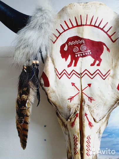 Натуральный череп этнографический HardSkin Бизон