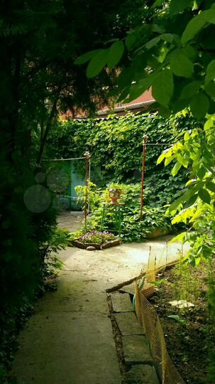 Комната 12 м² в > 9-к., 1/1 эт.