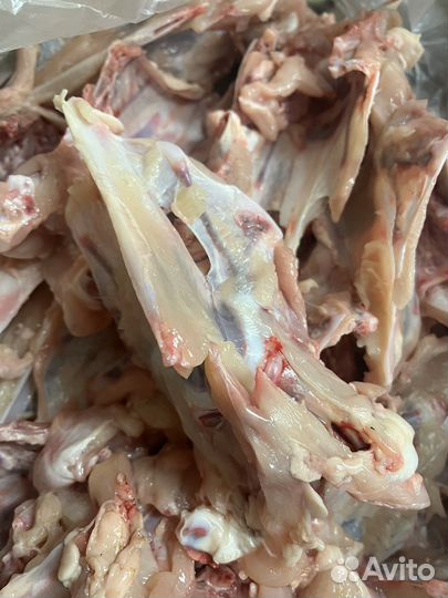 Кости для собак