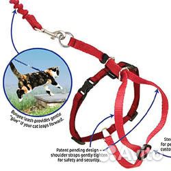 Поводок для кошки или маленькой собаки разные