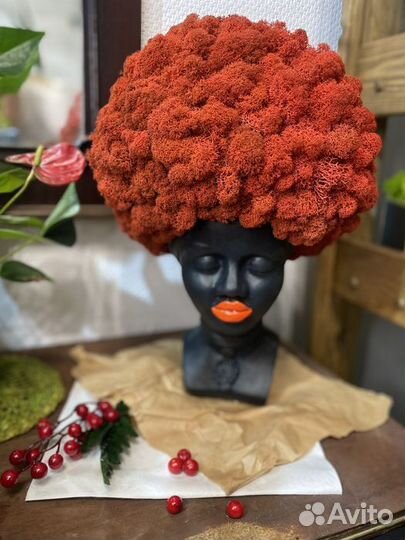 Грут, кашпо со стабилизированным мхом