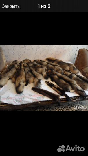 Мех лисы и енота