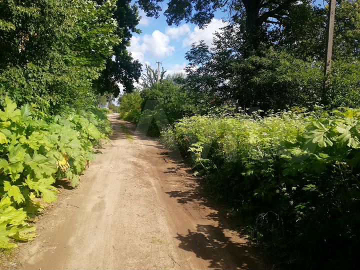 Участок 40 сот. (ИЖС)