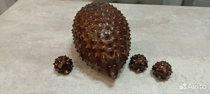 Семейство ёжиков