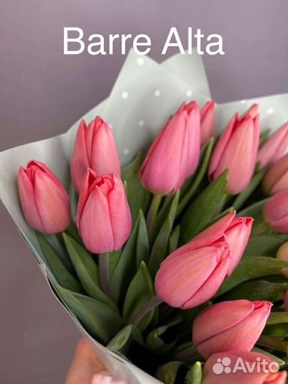 Луковицы розовых тюльпанов цветы Ярославль