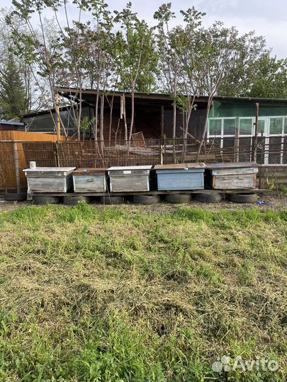 Пчеловодческий прицеп