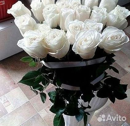 Высокие розы Гигантские Розы 150 160 170 180 190см