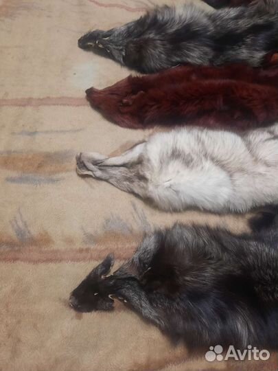 Меховая шкура