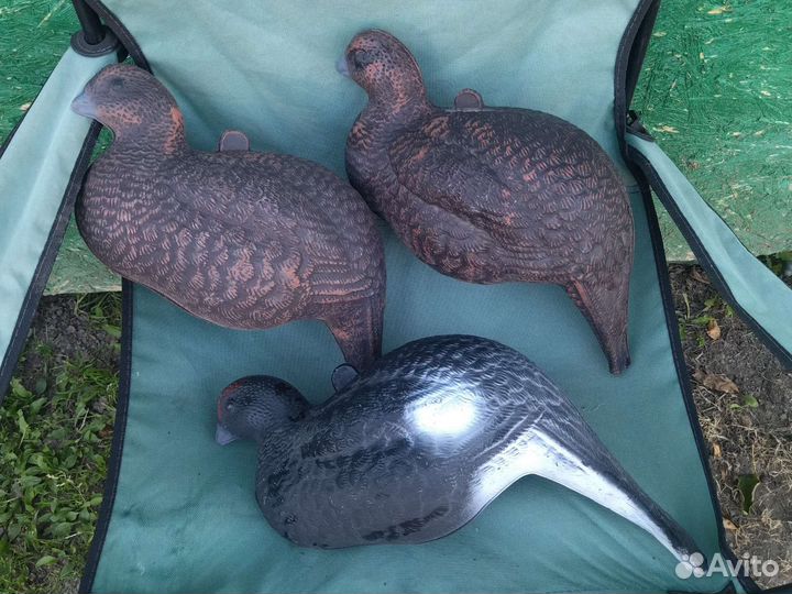 Чучела тетеревов для охоты