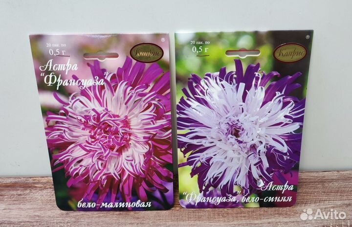 Семена Астра Каприс