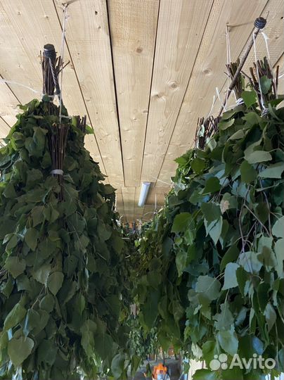 Веник банный