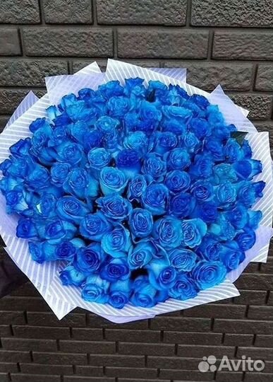 Синие розы Цветы Доставка