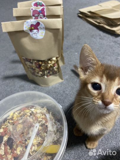 Корм-мешанина для грызунов